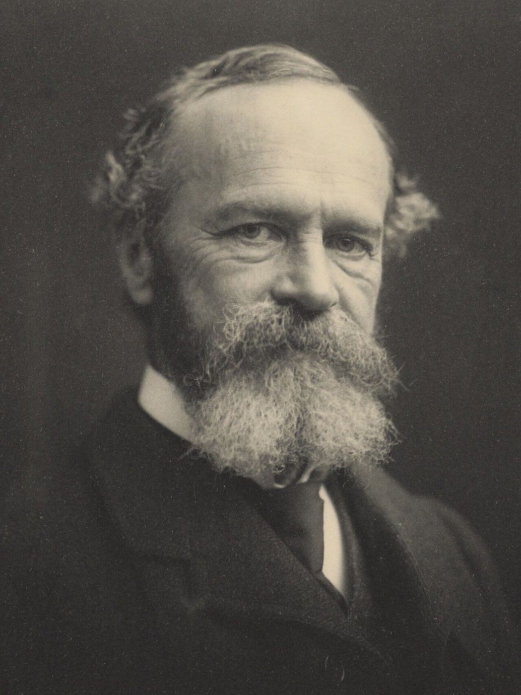 William James Is Born at the Astor House