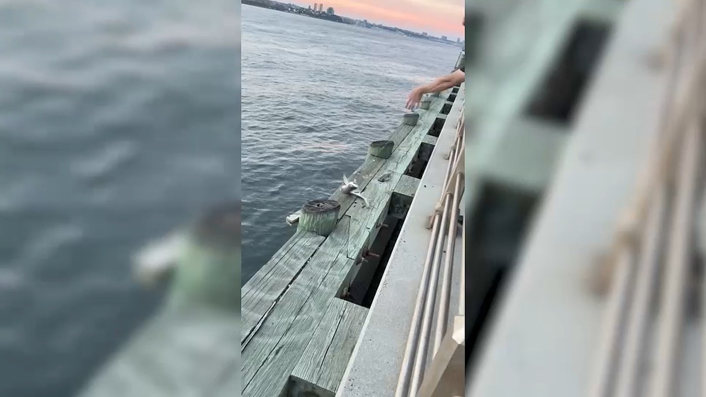 Only in New York