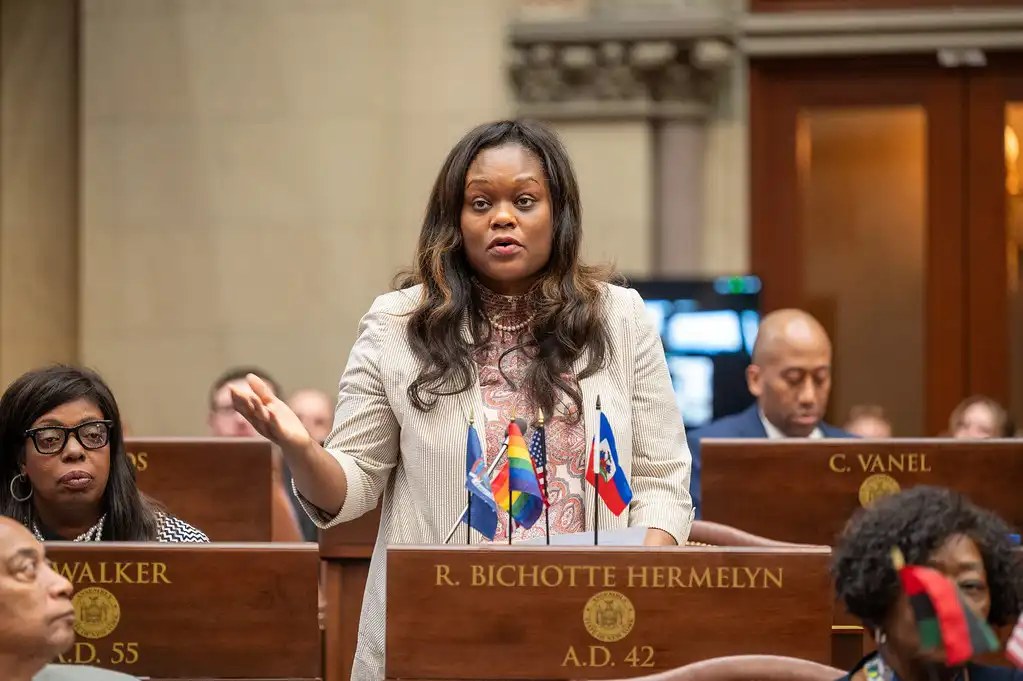 The Brooklyn Democratic Party rules fight