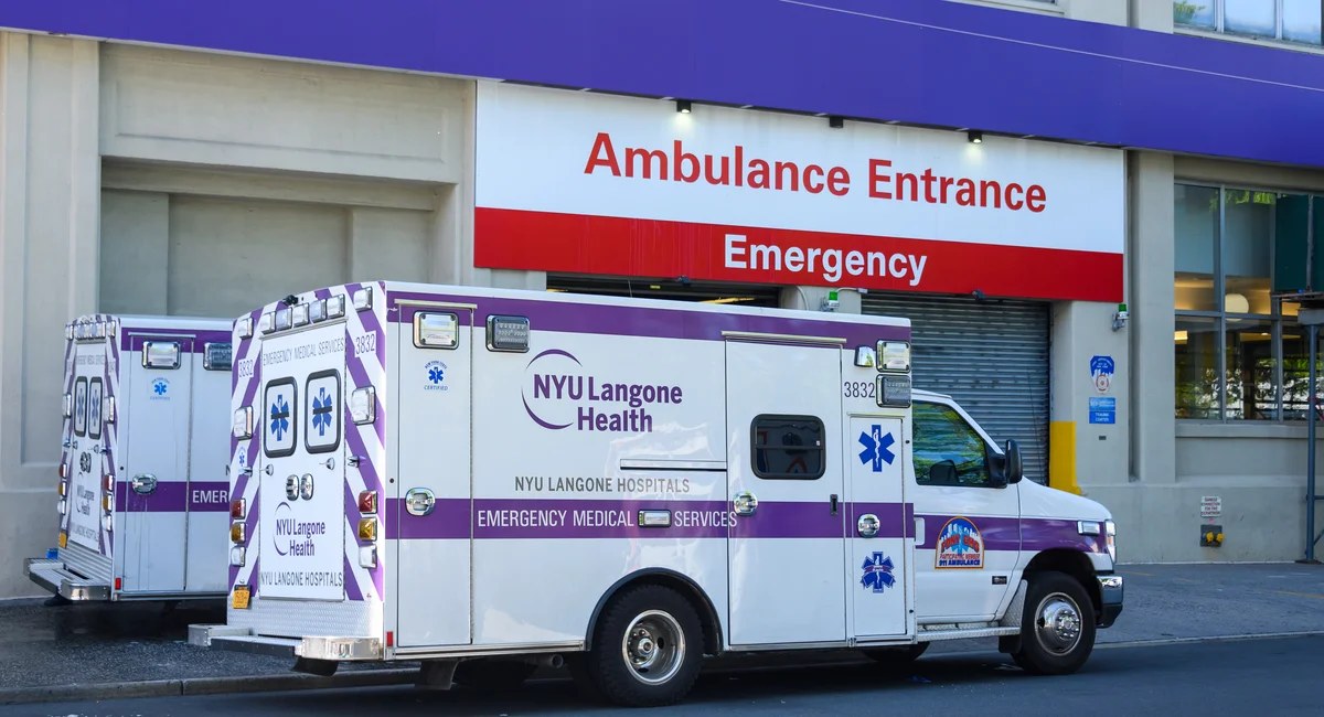 The hit-and-run death of nurse Jiayi Zheng on Third Avenue