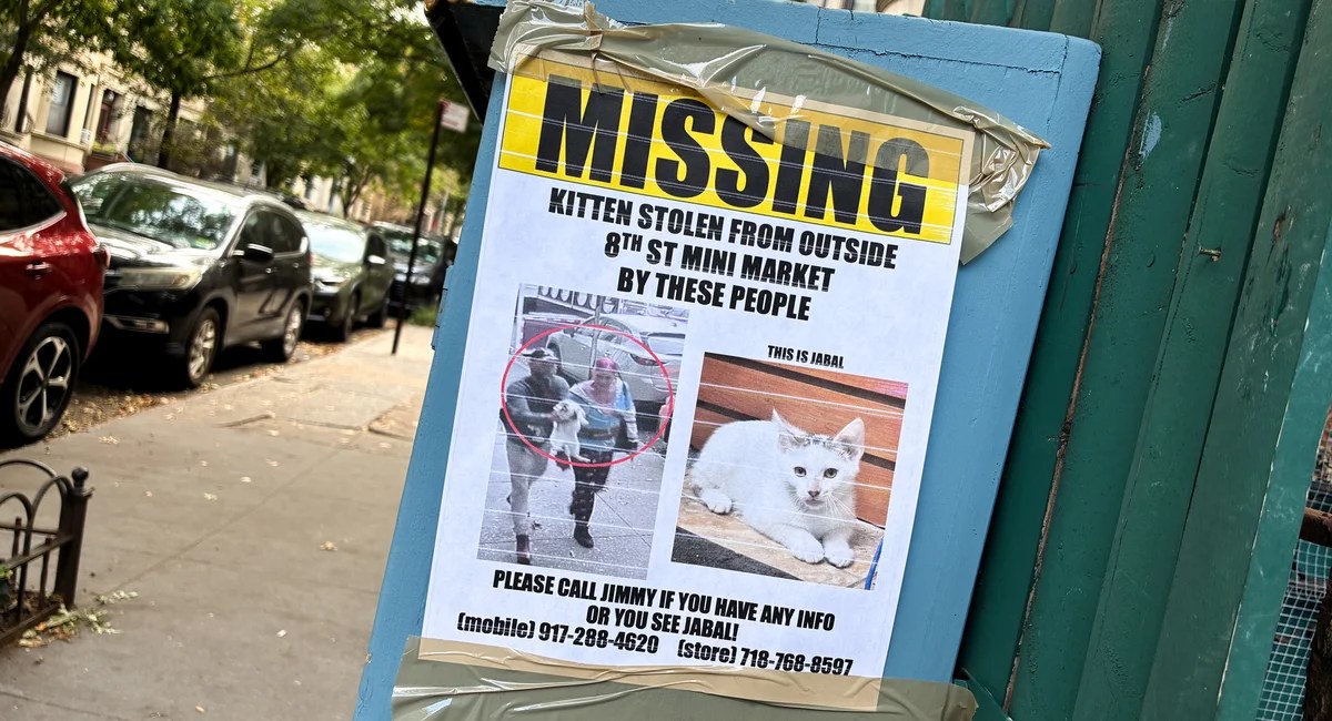 Only in New York