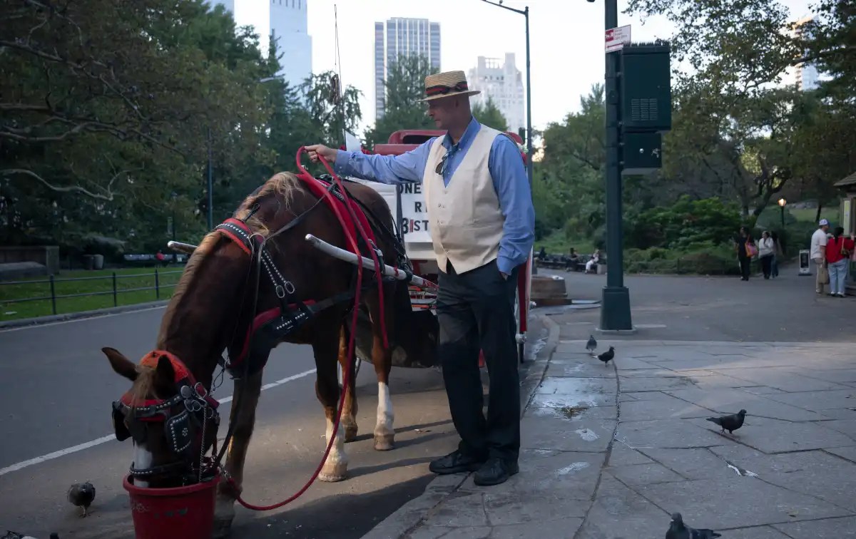 Central Park's carriage horses get an end date