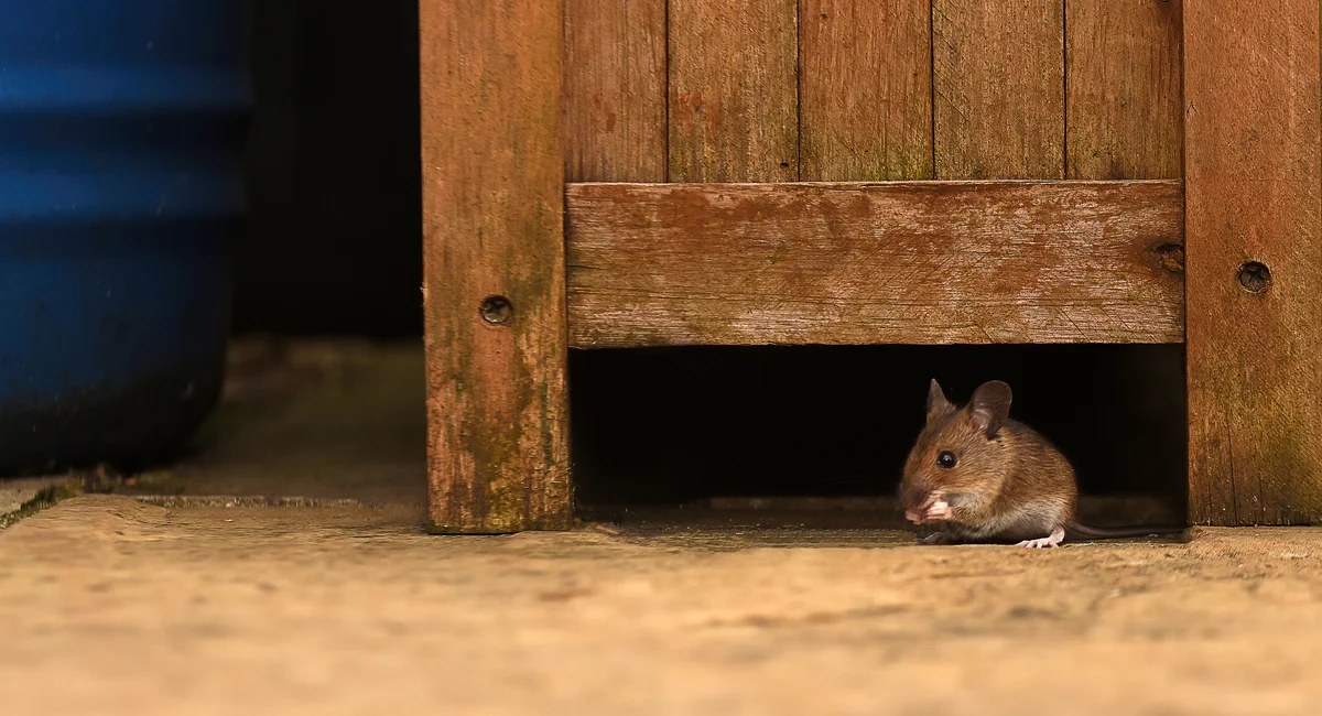 Only in New York